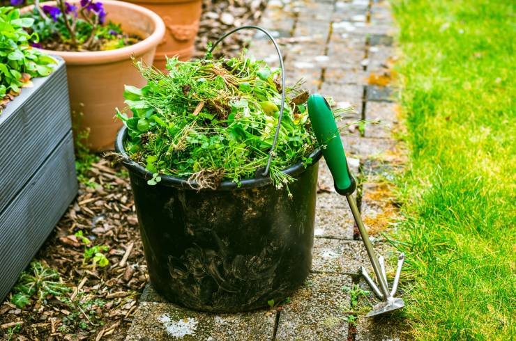 ALC Lawn Services