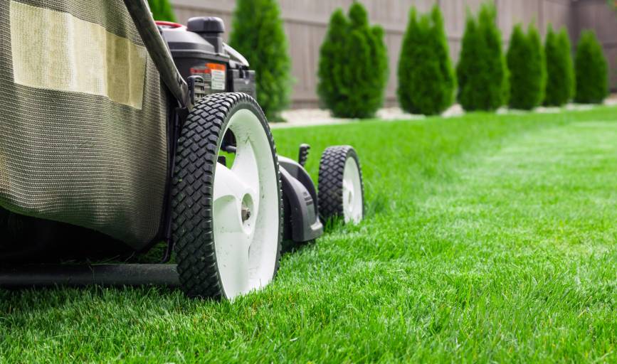 Lawn Mowing