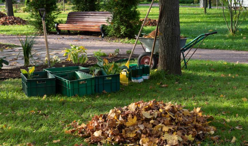 ALC Lawn Services